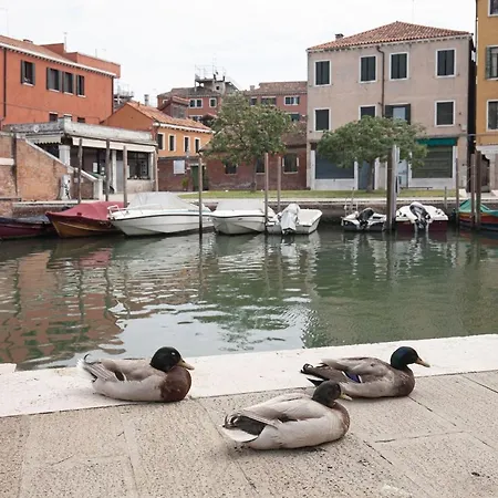 Santa Marta By Halldis * Venice