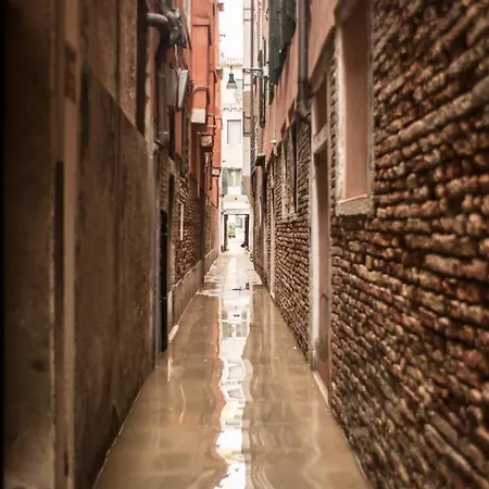 Apartment Alla Fenice *