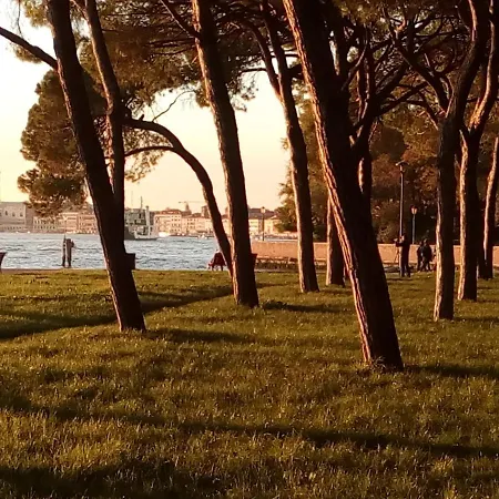 Biennale * Veneza
