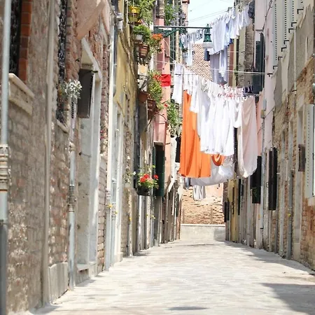 Veneziacentopercento *