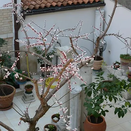 阿洛基巴巴里亚酒店 威尼斯