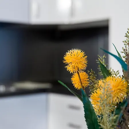 Apartamento Duplex2 At The Entrance Of Venice, Cozy And Relax Veneza
