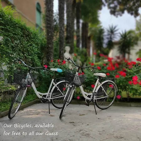 Delle Palme 3*
