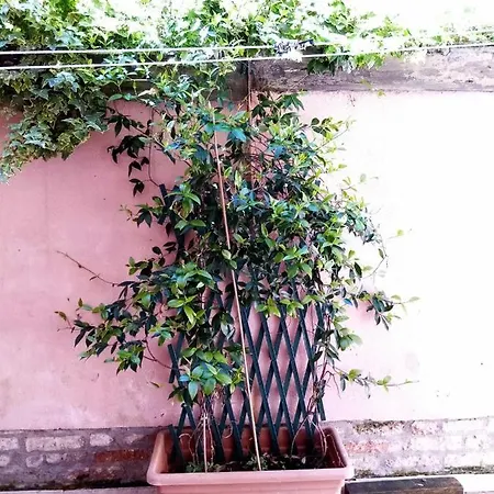 Biennale Flat * Venice