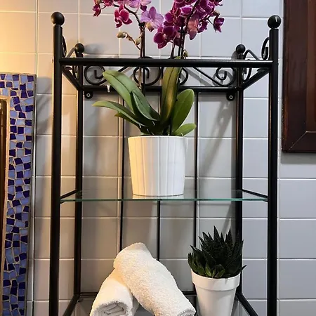 Apartamento Palazzo Malipiero *