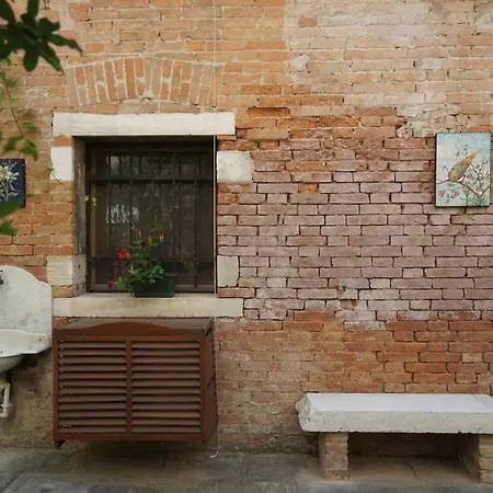 Garden In Biennale Apartment