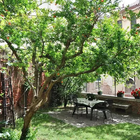 Garden In Biennale *