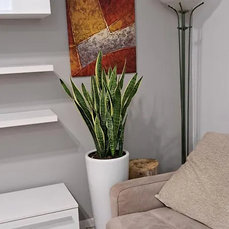 Apartament Marco