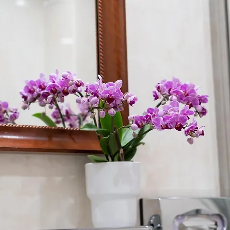 Palazzo Schiavoni Residenza D'epoca & Suite-apartments 3* Venedig