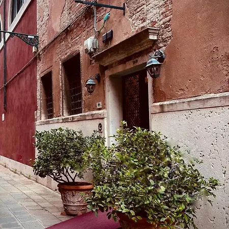 Domus Ciliota