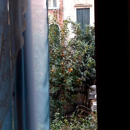 Quiet And Comfort In The Heart Of * Venice