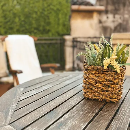 Attic Terrace San Square View Appartement