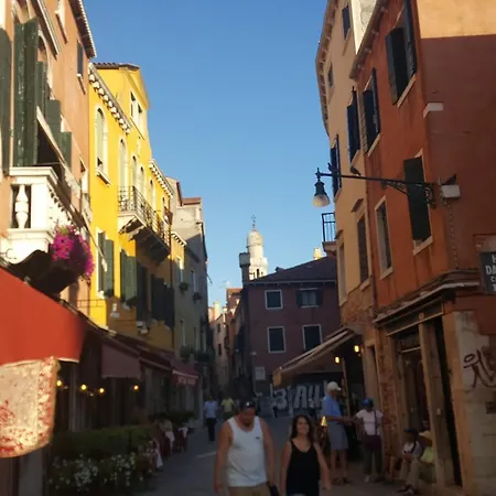 Dorso Duro