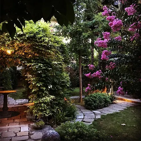 Hotel Sant'antonin Venecia