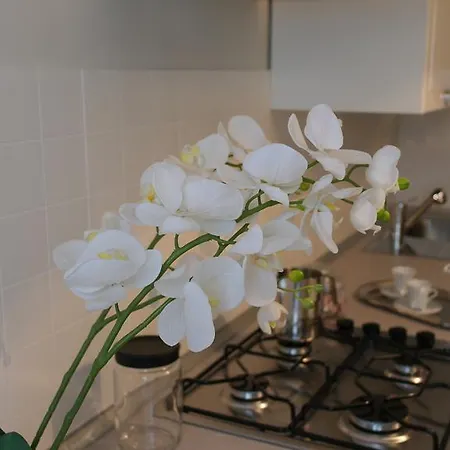 Appartement Casa Delle Ortensie