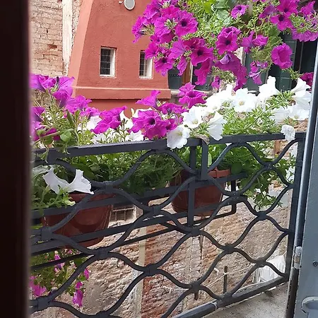 Guest house Luxury - Friendly