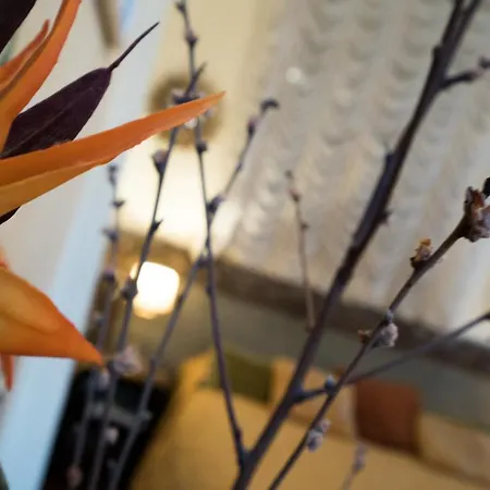 Bed & Breakfast Ca' Della Corte Venezia