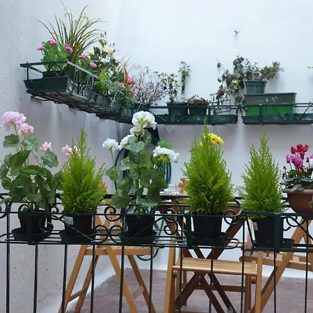 Life Apartment