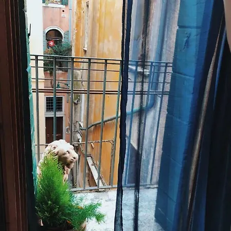 Rainbow Guest house Venice