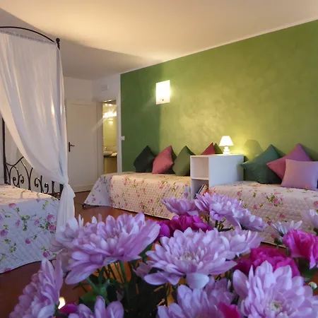 Vista Sul Canal Grande Bed & Breakfast Venice