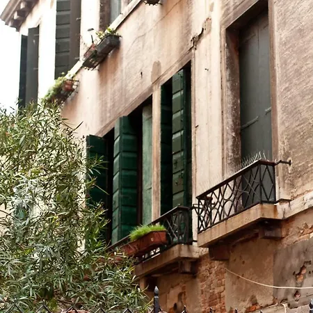 Alla Fenice