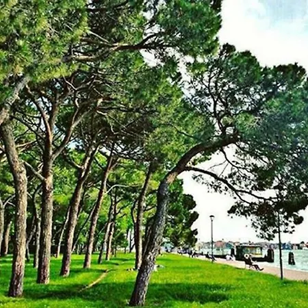 Apartamento Casa Ladi *