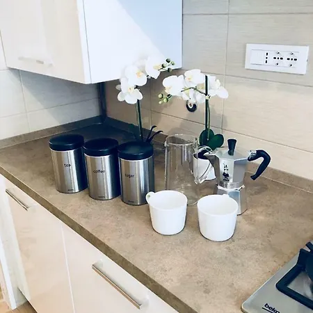 Apartman Central Apartment