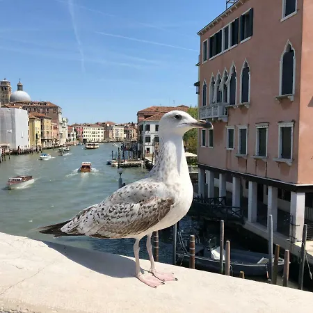 Regina Studium Apartment Venedig