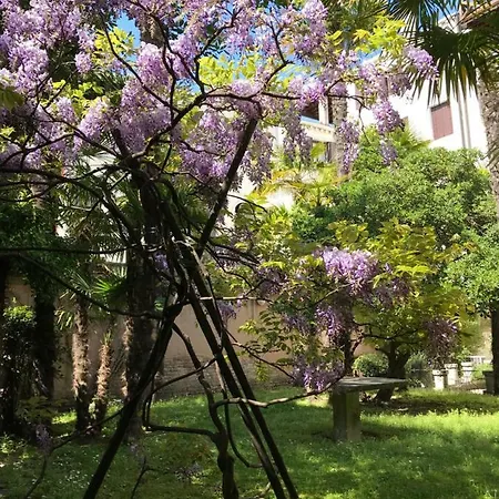 In A Lovely Garden Biennale Flat *