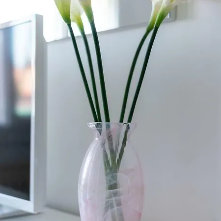 Apartmán Ca Misericordia