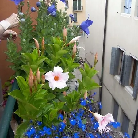 Ca' San Silvestro 2 Terrazze Nel Cuore Di Apartment *