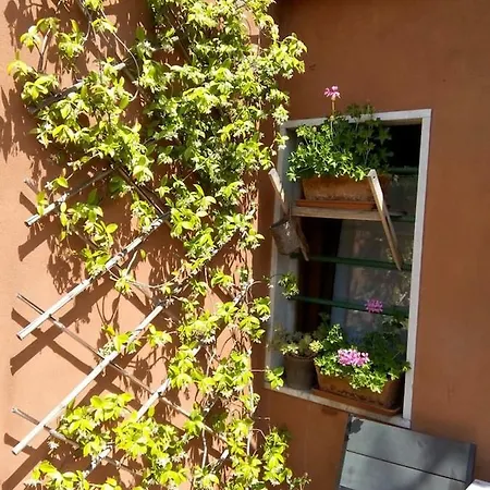 Ca' San Silvestro 2 Terrazze Nel Cuore Di Apartment *
