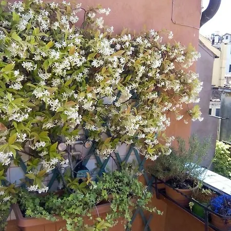 Ca' San Silvestro 2 Terrazze Nel Cuore Di Apartment
