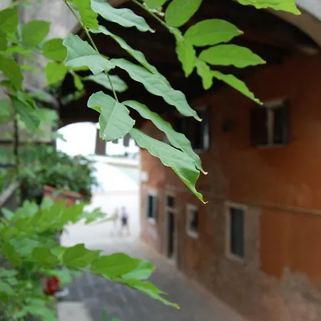Marinaressa Biennale Terrazza 公寓