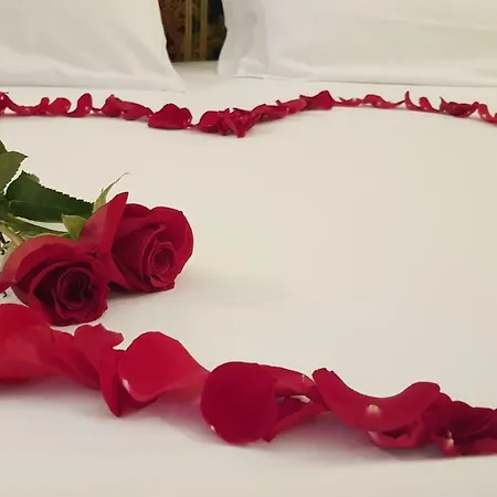 Guest house Ca' Bragadin E Carabba 3*