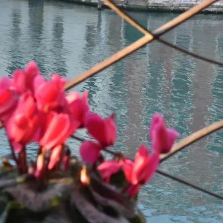 Bed & Breakfast Vista Sul Canal Grande 2*