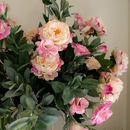 Grifoni Boutique Venice