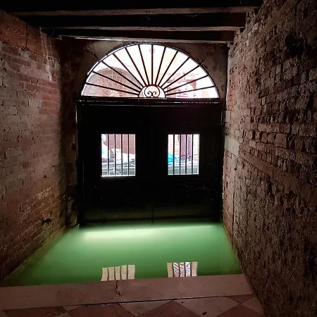Wellvenice Fenice *