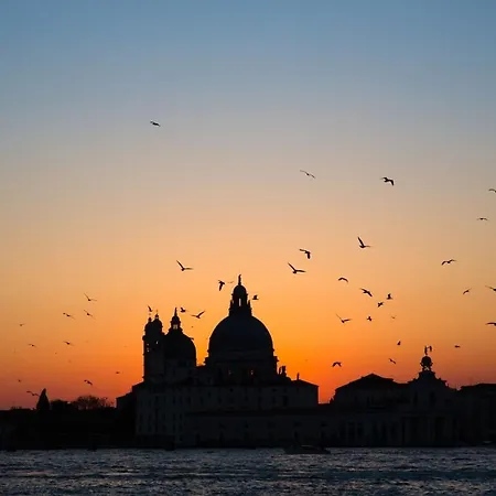 La Casa Del Pescatore: A Lovely Escape In Venice!!