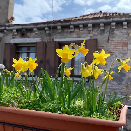 Rooftop Terrace Domus Dei Fabbri Appartamento