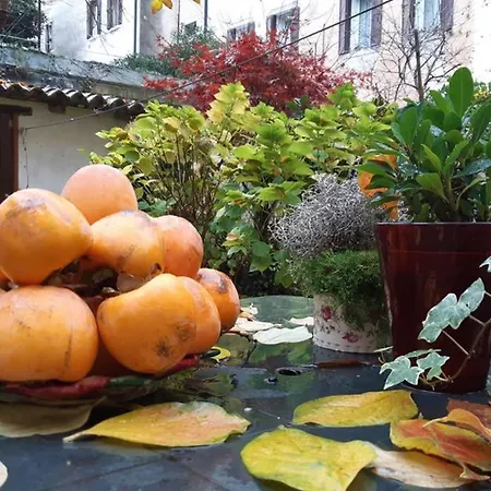 Casa Pusterla Venice