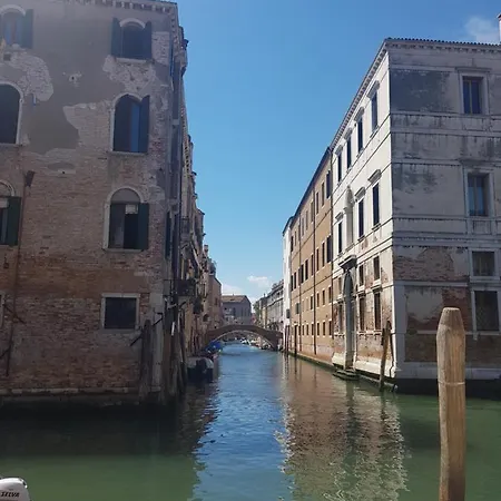 The Artist Place Venice