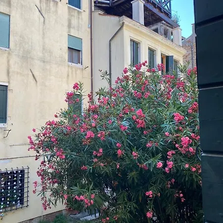 The Glamour Of San Marco Apartment *
