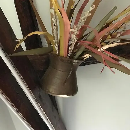Apartment Canele *