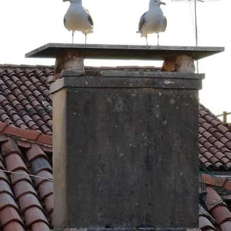 Luxury - Friendly Maison d'hôtes