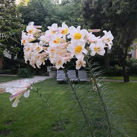 Guest house Cinqueteste Luxury
