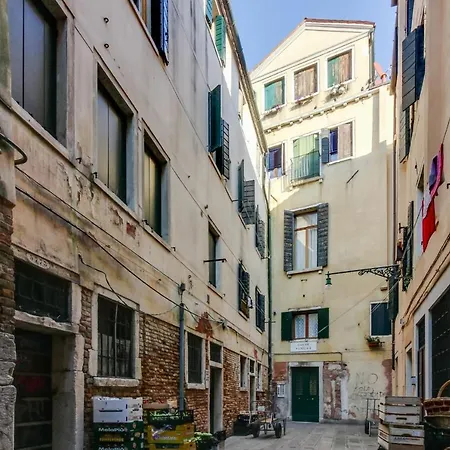 Ramo Venier By Halldis Venice