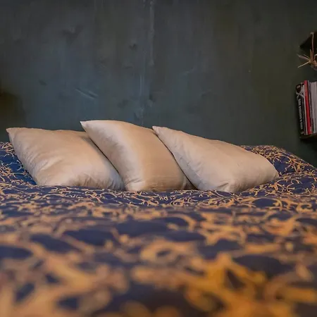 Homestay Private Room In A Gothic Palazzo Dona In The Center Of Venice Venice