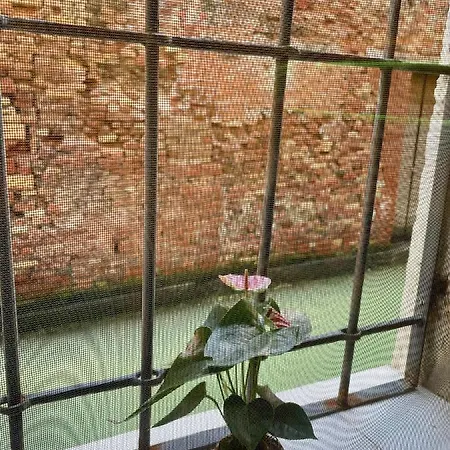 Hayez Guest house