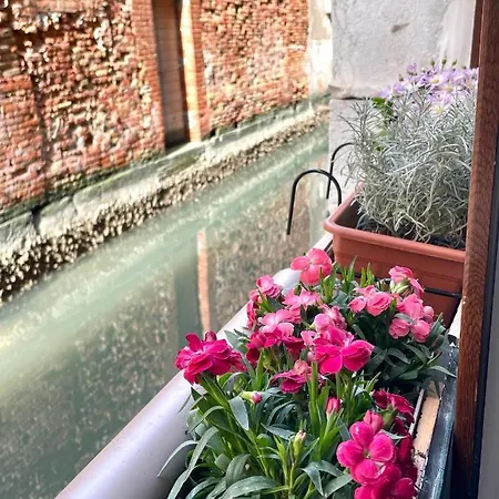 Hayez Guest house